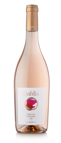 Dahlia rosat 75cl.